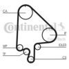 CONTITECH CT871 Timing Belt